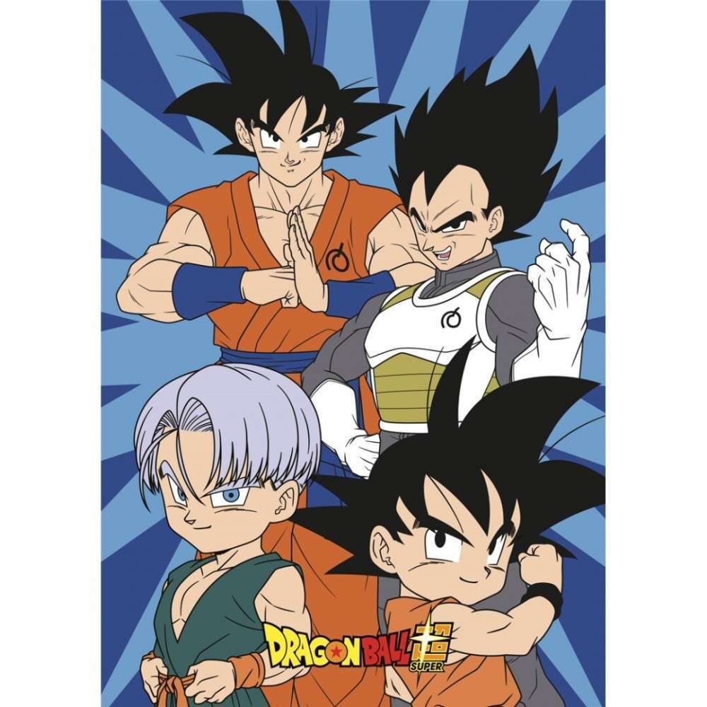 AYM987931.jpg Dragon Ball polár takaró 100x140cm 1