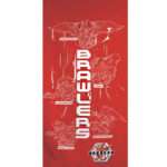 Bakugan fürdőlepedő, strand törölköző 70x140cm 1