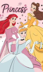 Disney Hercegnők Elegant kéztörlő arctörlő, törölköző 30x50cm 1
